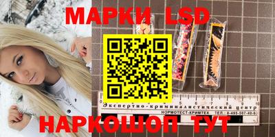 шишки Абакан