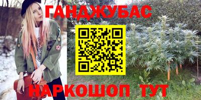 шишки Абакан