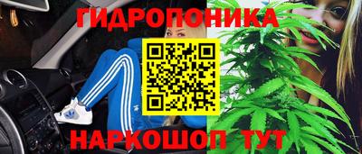 шишки Абакан