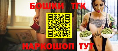 шишки Абакан
