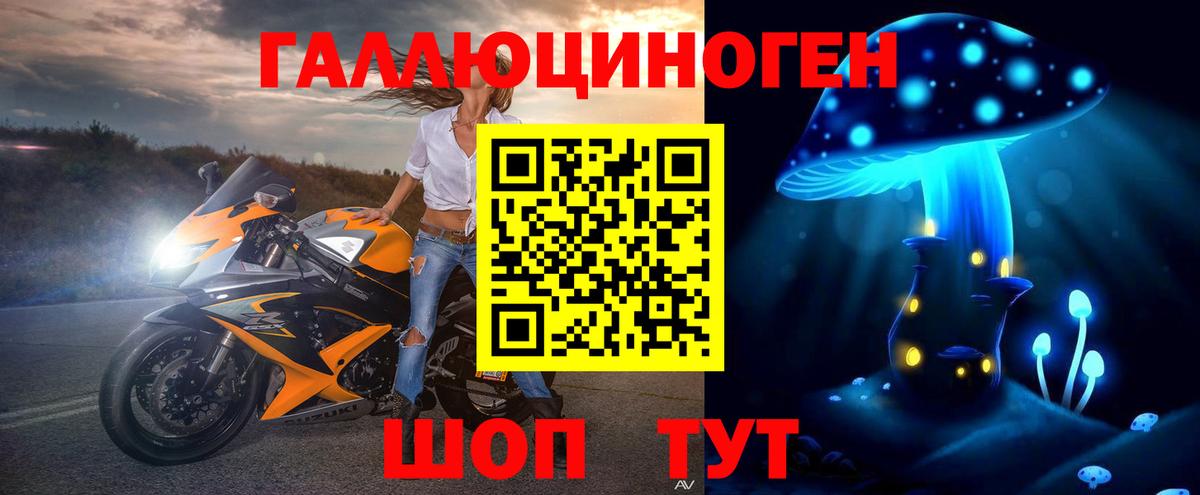 Галлюциногенные грибы прущие грибы  Вход с VPN  Галлюциногенные грибы Psilocybe  Алексеевка 